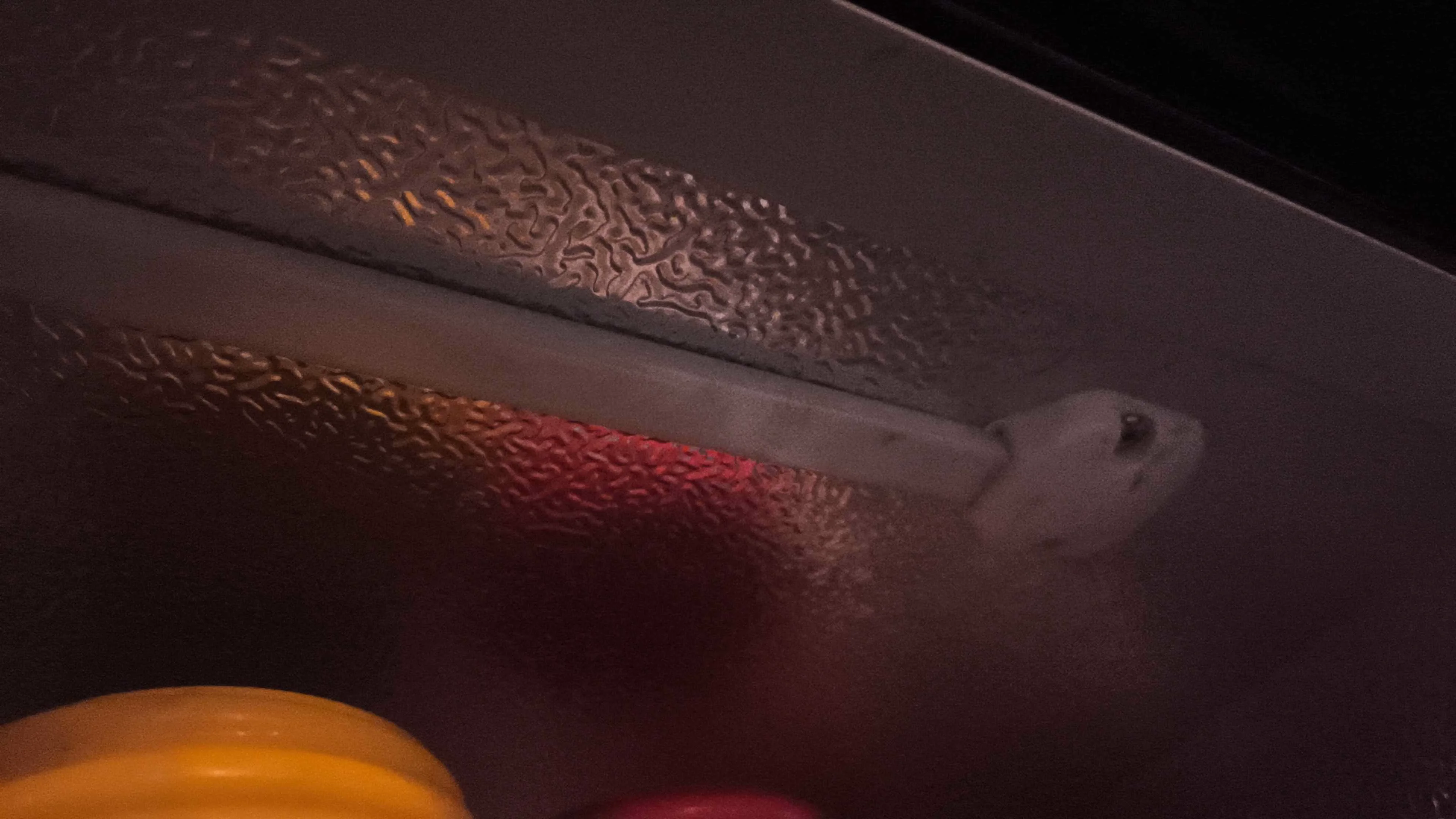 Fridge interior showing light area